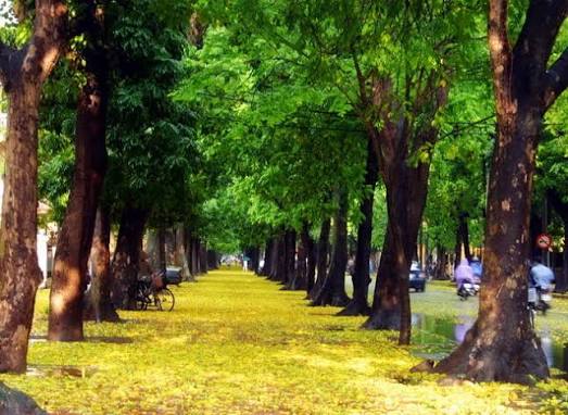 Tìm xe từ Đội Cấn lên sân bay Nội Bài | Taxi Nội Bài 686