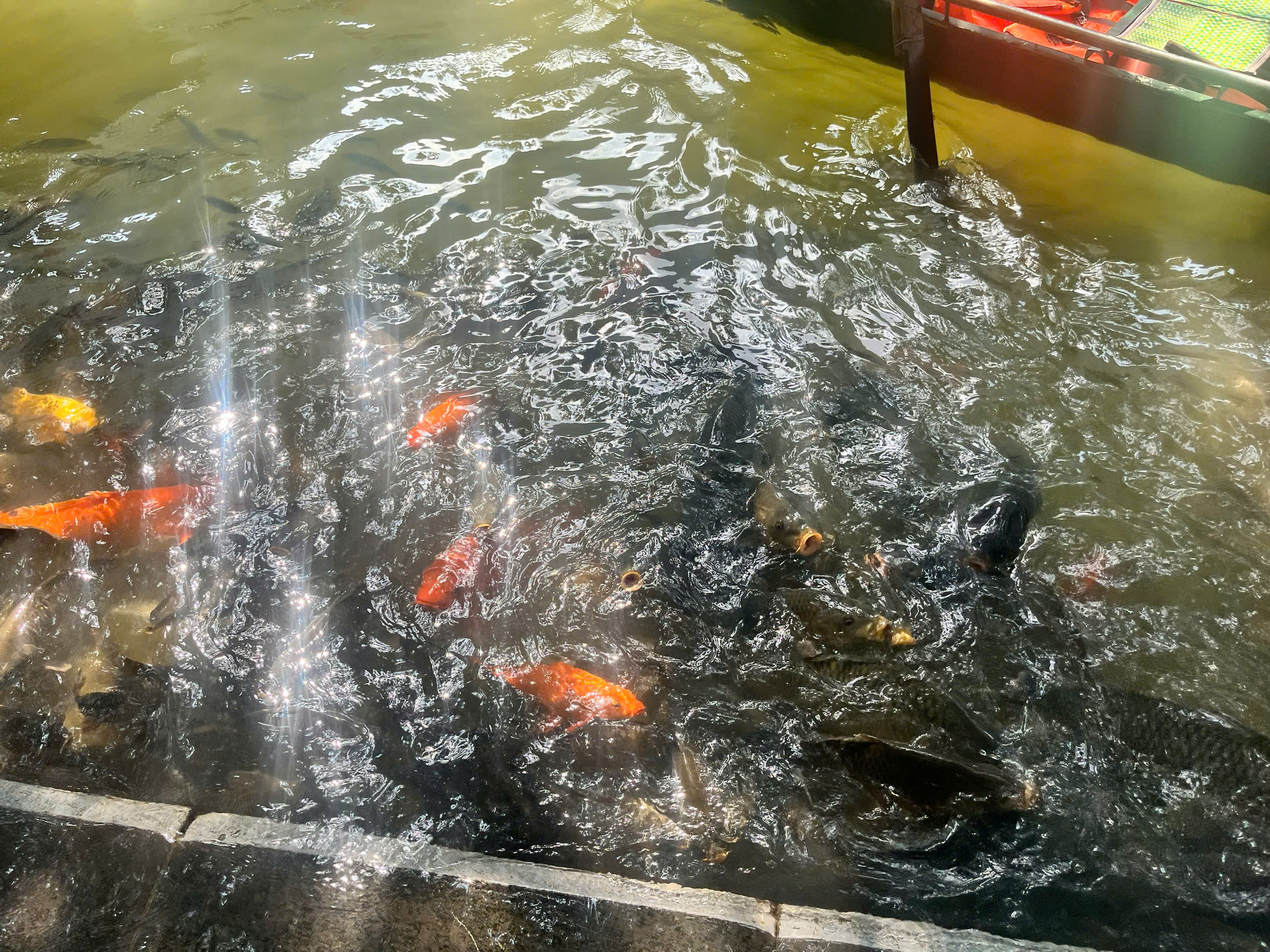 Thuyền nan chở du khách len lỏi giữa thung lũng Tràng An